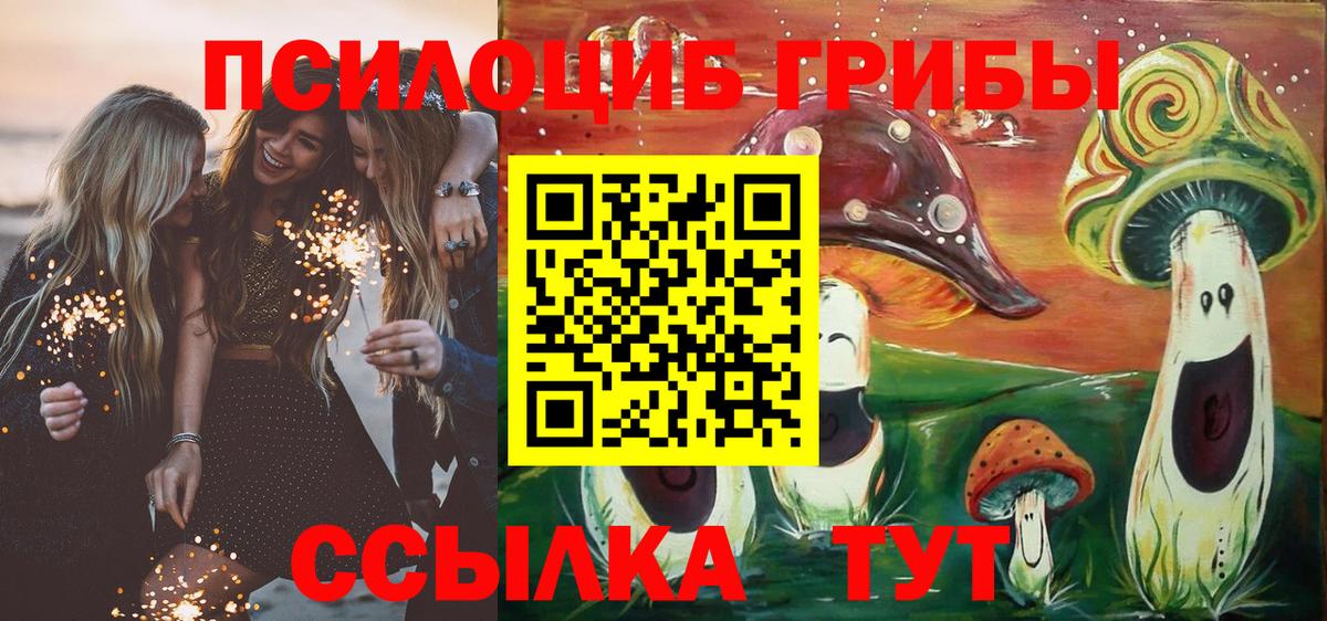 Псилоцибиновые грибы Psilocybe Похвистнево