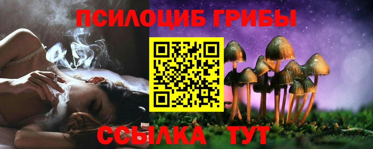 Галлюциногенные грибы мицелий  Вход с VPN  Галлюциногенные грибы Psilocybe  Похвистнево 